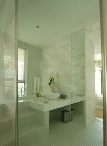 時(shí)尚現(xiàn)代簡(jiǎn)約衛(wèi)生間臺(tái)階隔斷設(shè)計(jì)